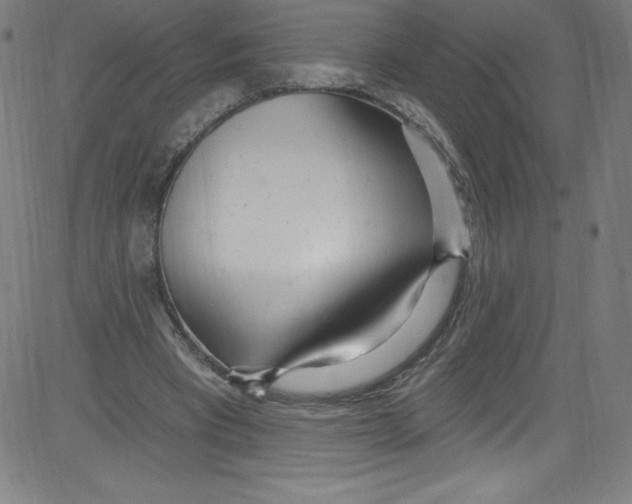 X0000081400393200702020326