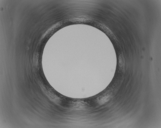 X0000081400396200702020326