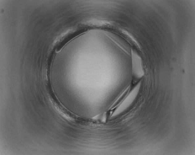 X0000081400399200702020325