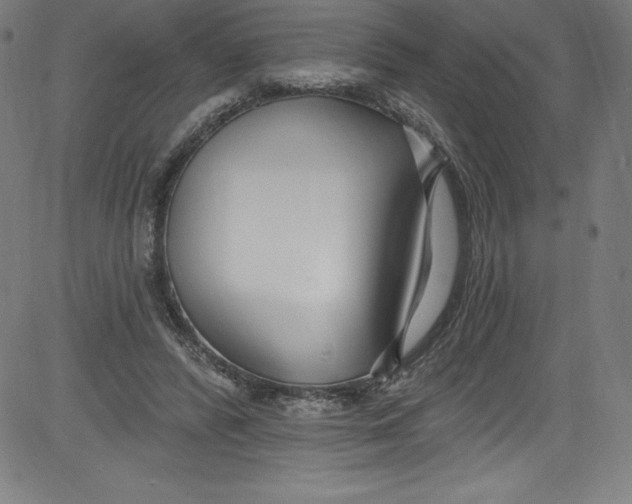 X0000081400400200702020325