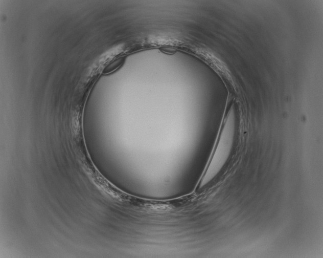 X0000081400401200702020325