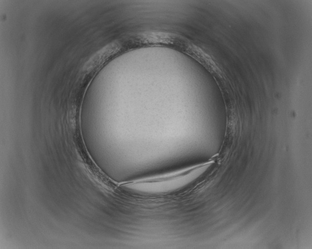 X0000081400402200702020325