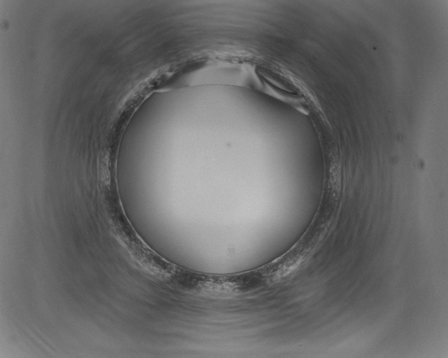 X0000081400403200702020325