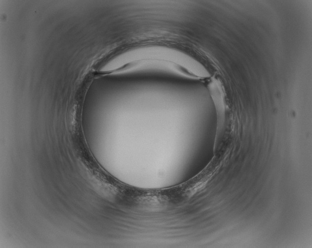 X0000081400404200702020325