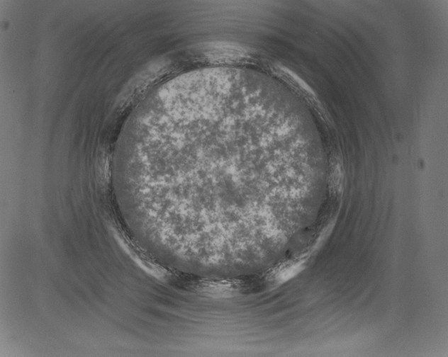 X0000081400405200702020325