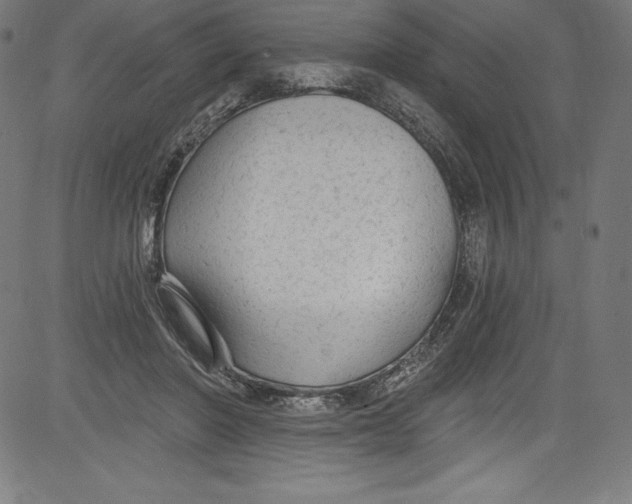 X0000081400406200702020325