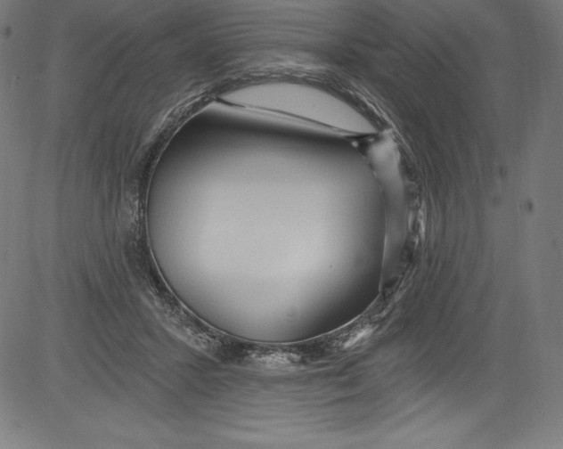 X0000081400407200702020325