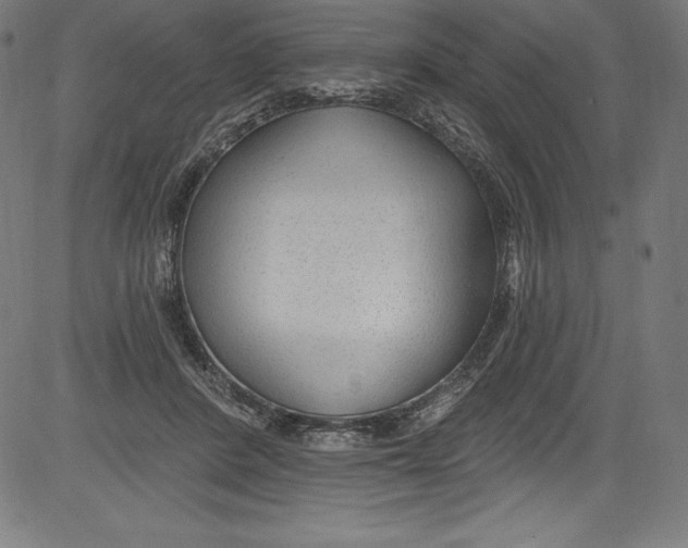 X0000081400408200702020325