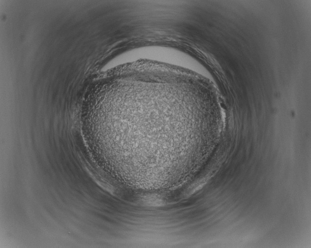 X0000081400409200702020325