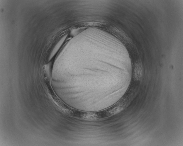 X0000081400410200702020325