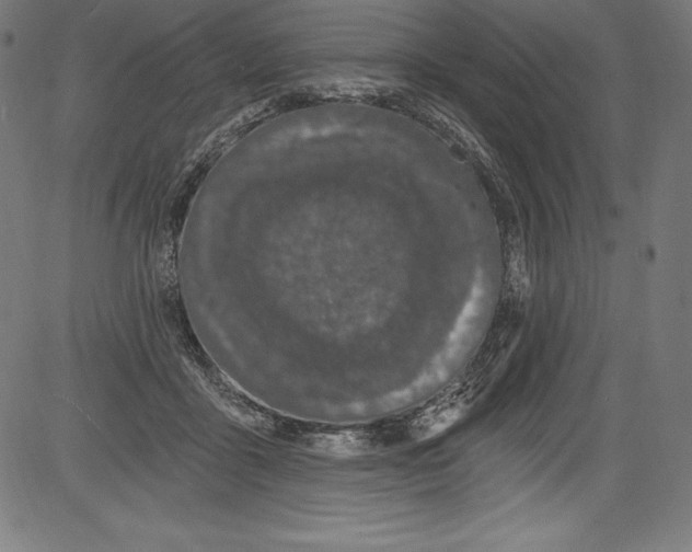 X0000081400411200702020325