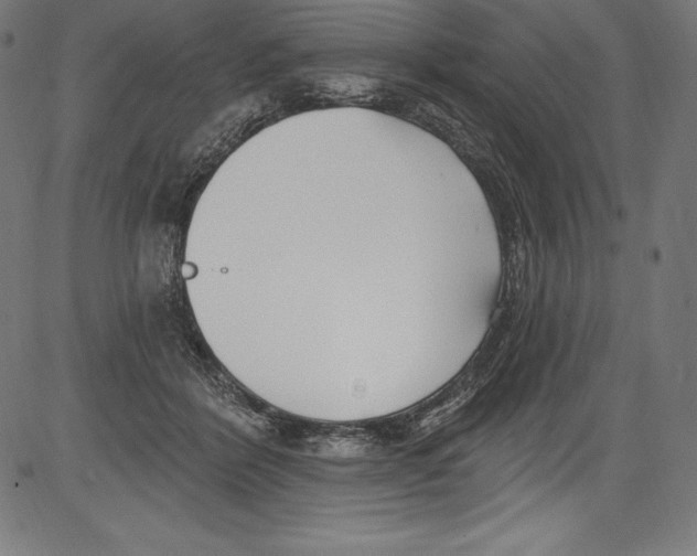 X0000081400412200702020325