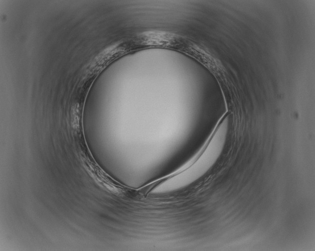 X0000081400413200702020325