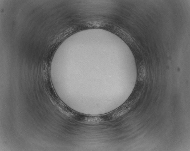 X0000081400414200702020325