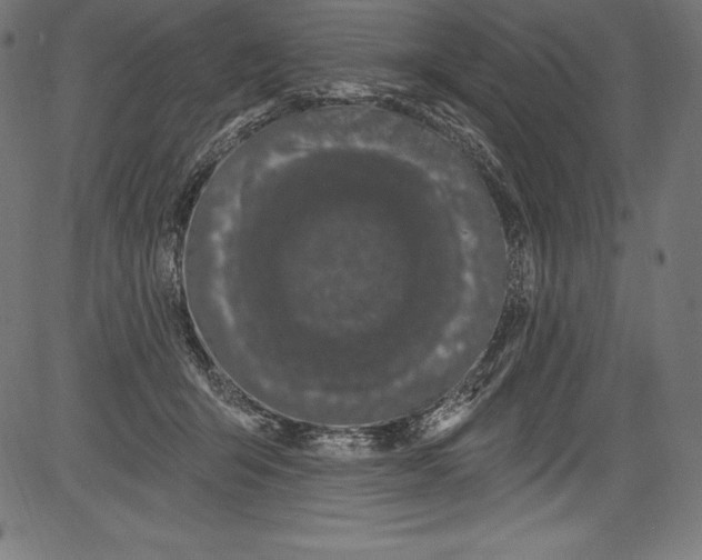 X0000081400415200702020325