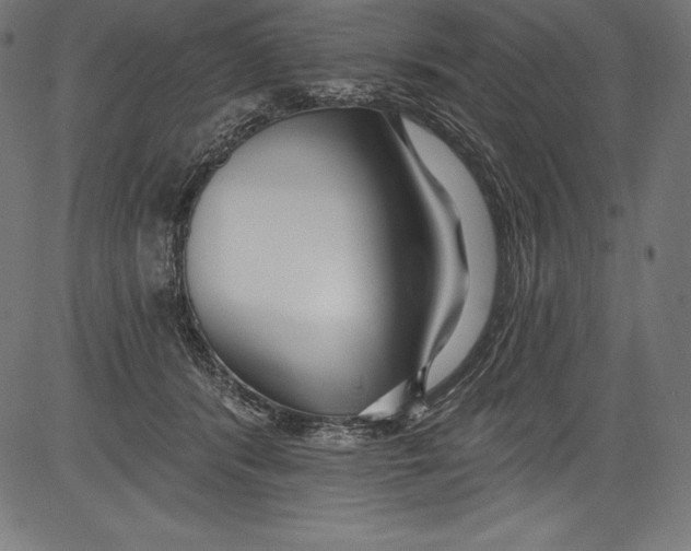 X0000081400416200702020325