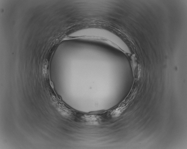 X0000081400417200702020325