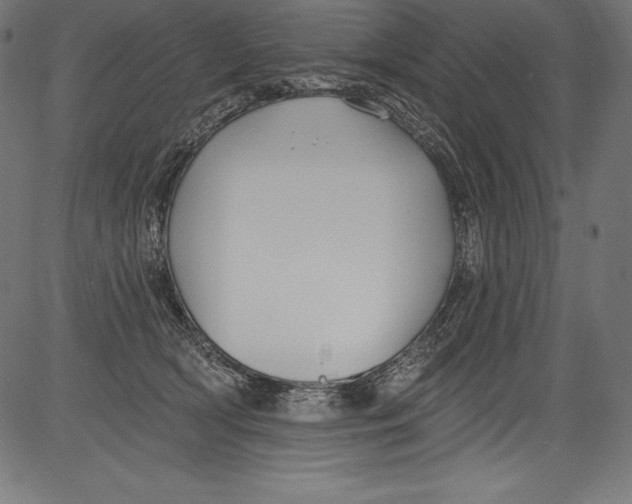 X0000081400418200702020325