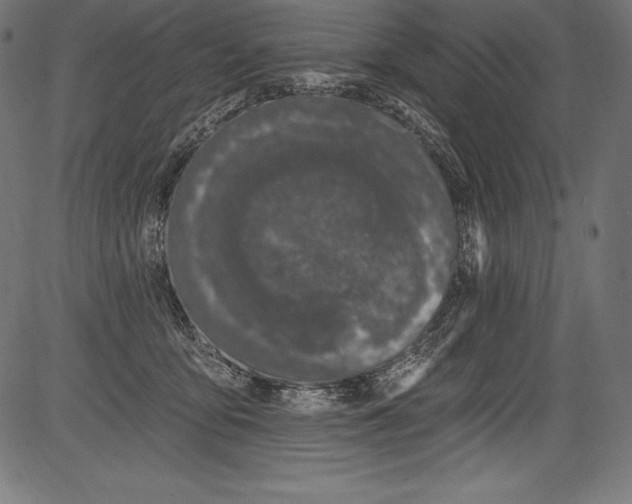 X0000081400419200702020325