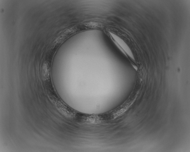 X0000081400420200702020325