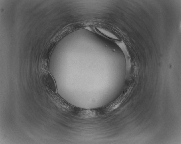 X0000081400421200702020325