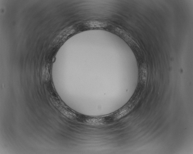 X0000081400422200702020325