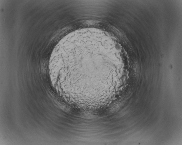 X0000081400423200702020325