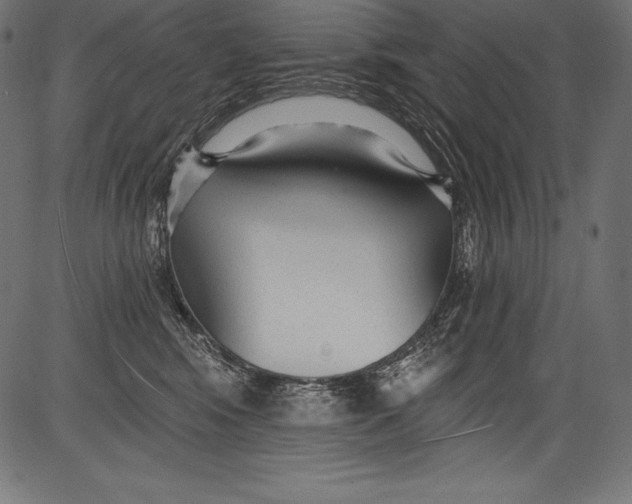 X0000081400424200702020325