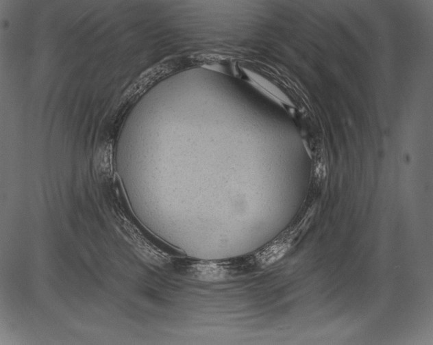 X0000081400425200702020325