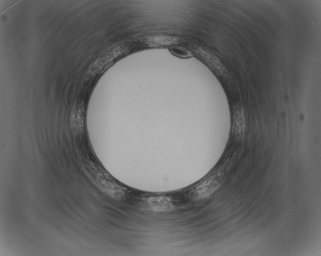 X0000081400426200702020325