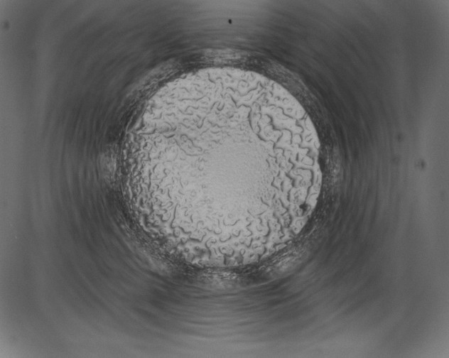 X0000081400427200702020325