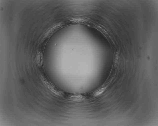 X0000081400428200702020325