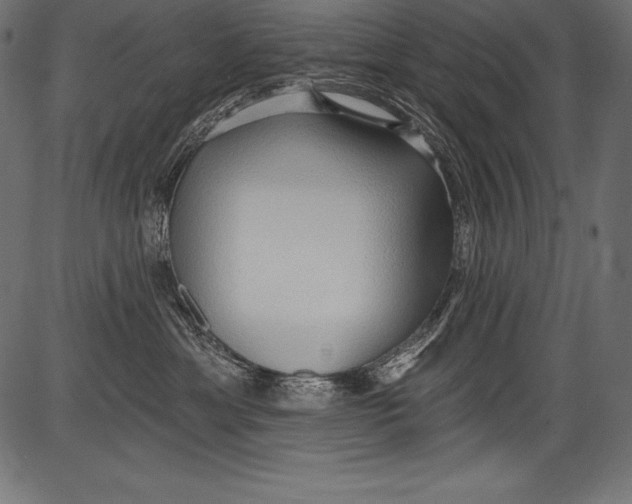 X0000081400429200702020325