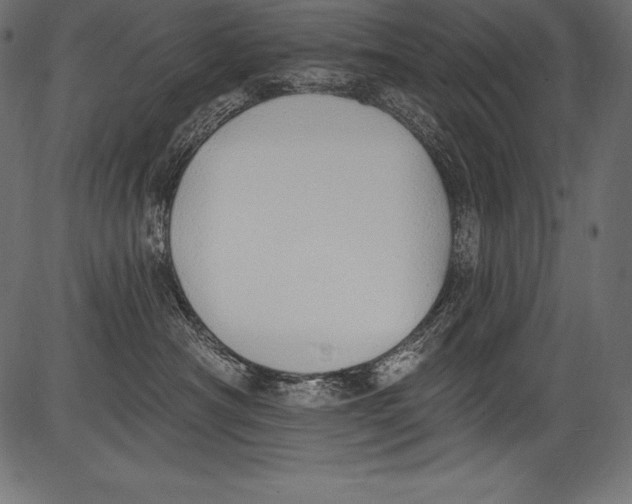 X0000081400430200702020325