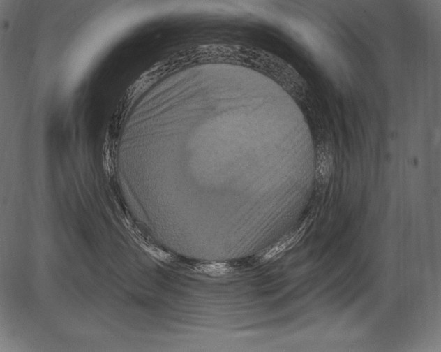 X0000081400431200702020325