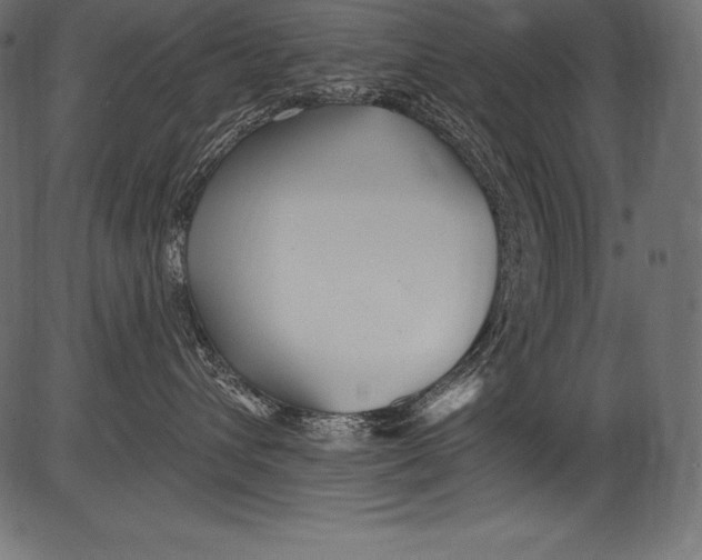 X0000081400432200702020325