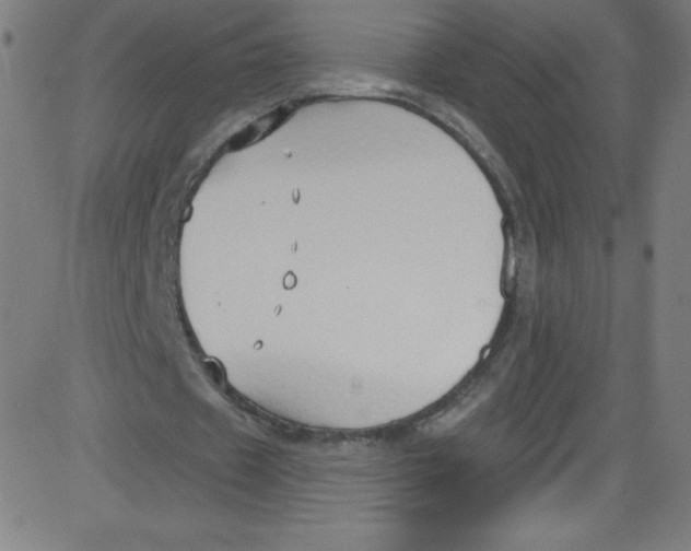 X0000081400433200702020324