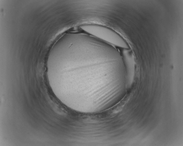 X0000081400434200702020324