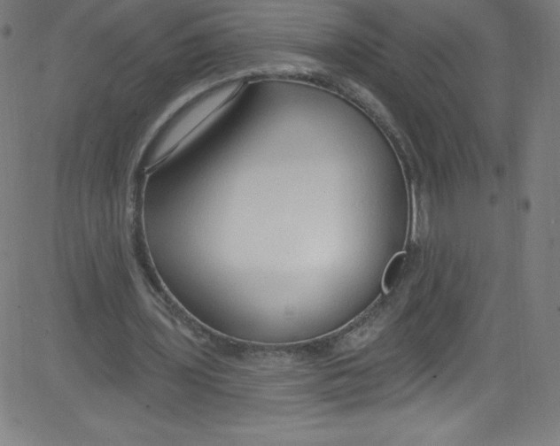 X0000081400435200702020324