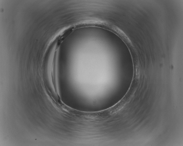 X0000081400436200702020324