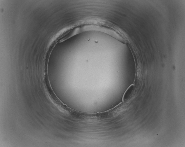 X0000081400438200702020324