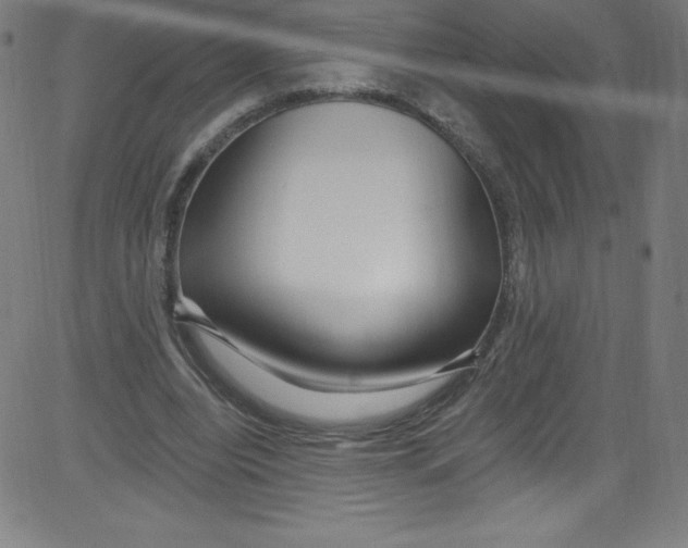 X0000081400440200702020324