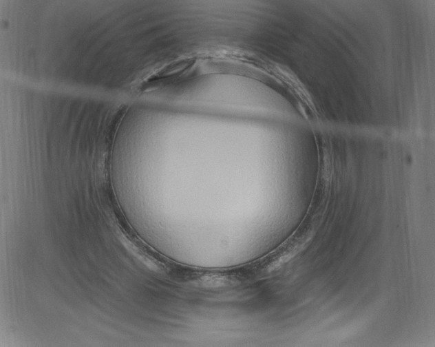 X0000081400441200702020324