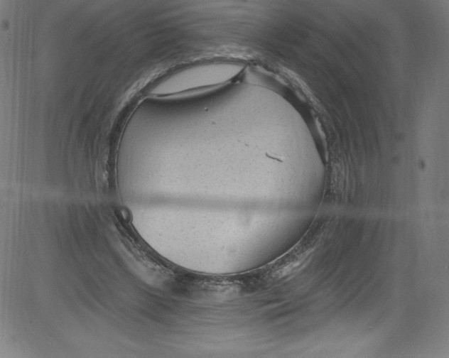 X0000081400443200702020324