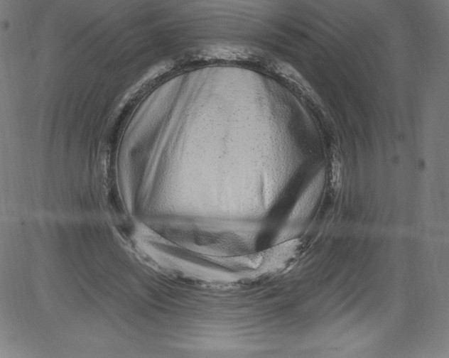 X0000081400444200702020324