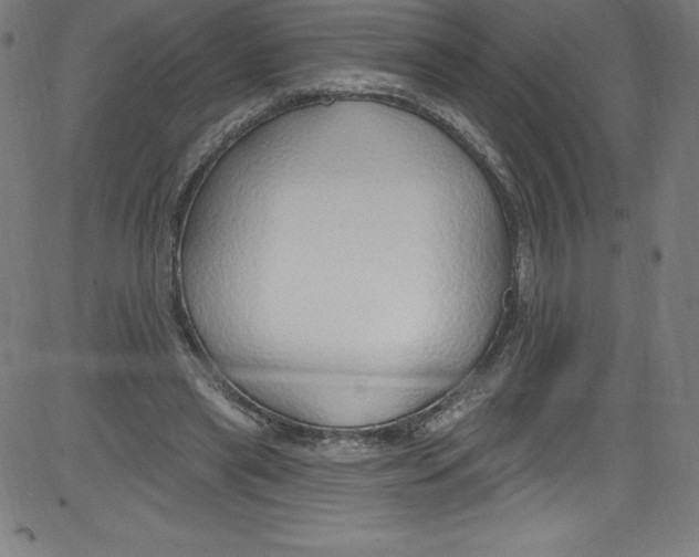 X0000081400445200702020324