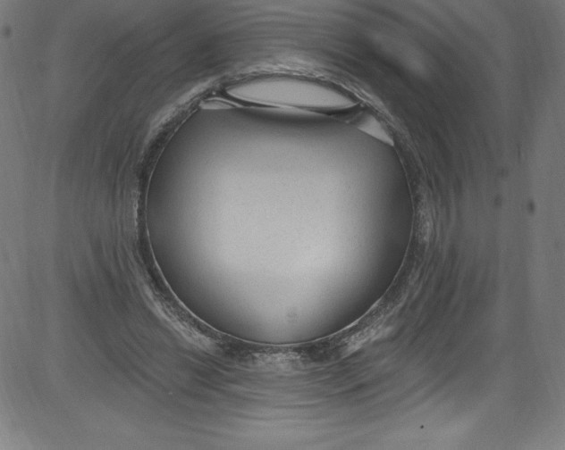 X0000081400446200702020324