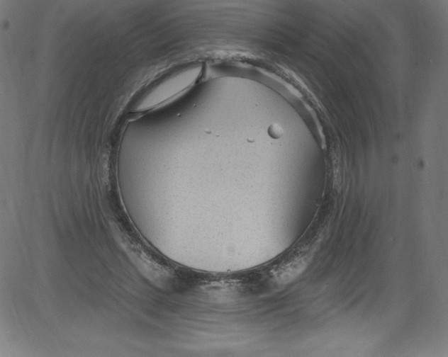 X0000081400447200702020324