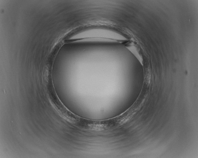 X0000081400448200702020324