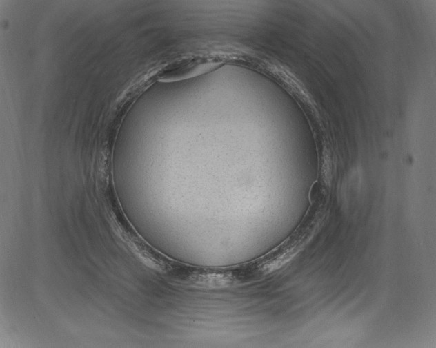 X0000081400449200702020324